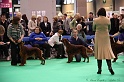 Crufts2011 348